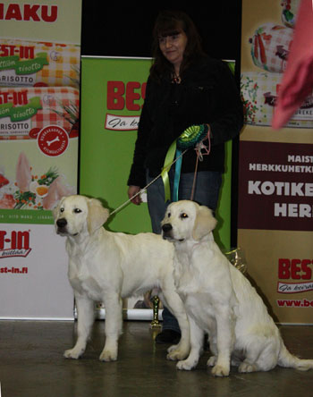 kuva: Hanna Ouvinen