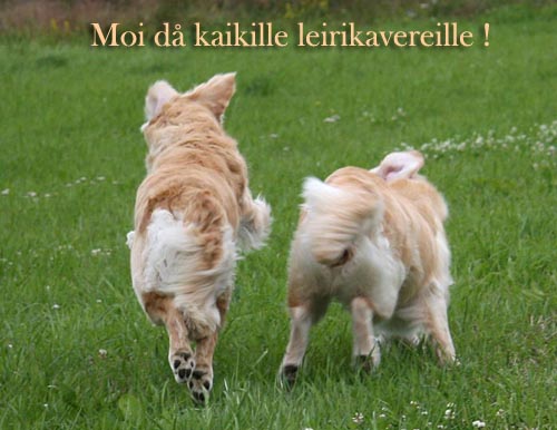  Minna Outinen